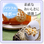 ����ɍœK�u�p���t�����{�[���v