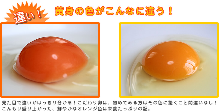 ���g�̐F������ȂɈႤ�B