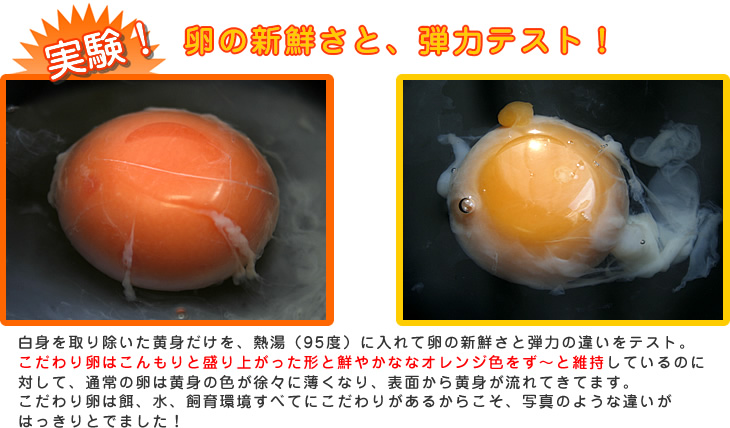 ������藑�͐V�N�����Ⴂ�܂��B