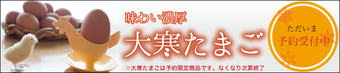 大寒たまご予約受付中