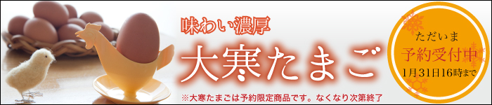 大寒たまご予約受付中